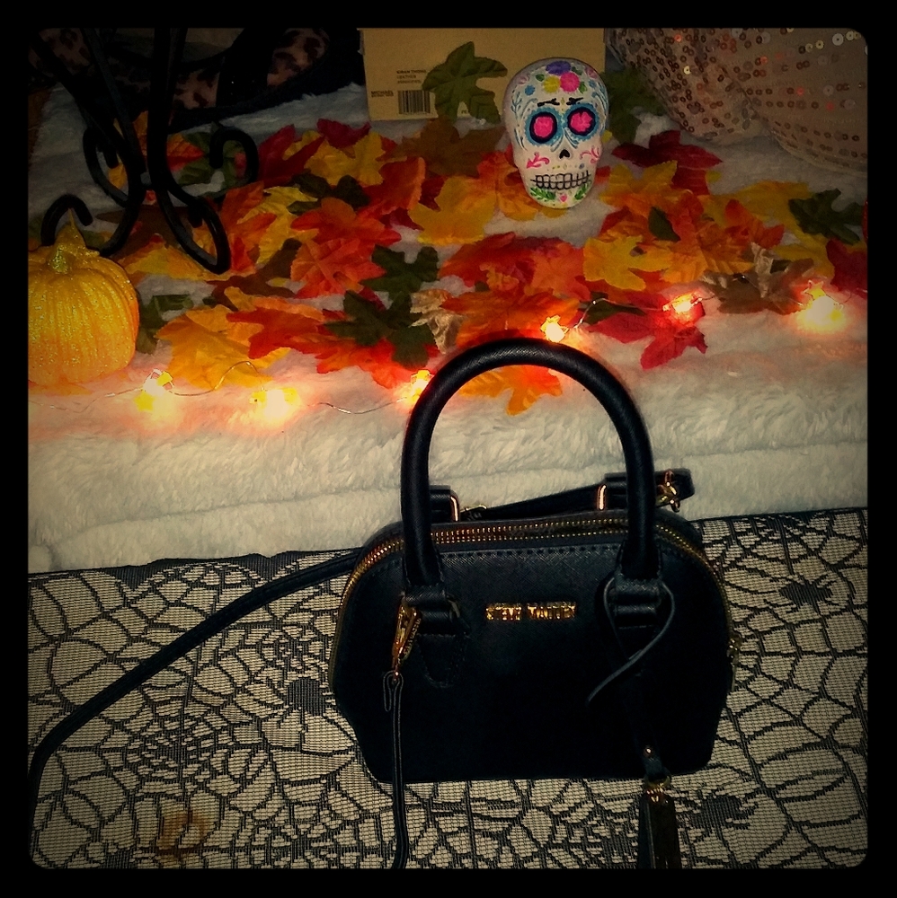 STEVE MADDEN mini purse! - Picture 1 of 14
